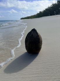 An unbelievable experience!