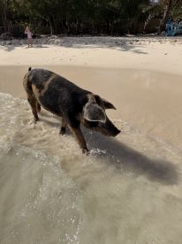 Amazing half-day adventure