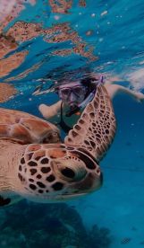 An Excellent Experience