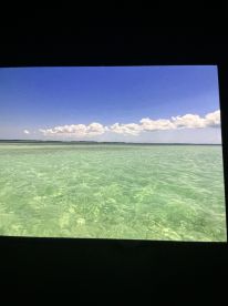Awesome Sandbar Excursion