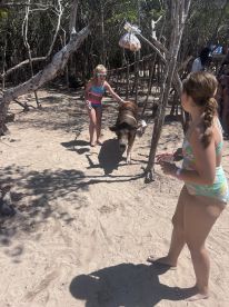 book it!!!! THE BEST! 