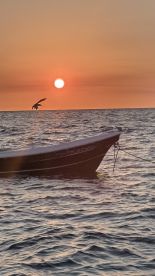 beautiful day on the water