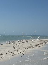 Wonderful day on the water! 