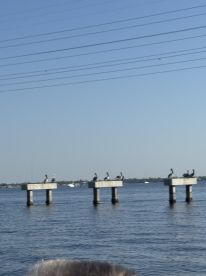 Awesome Trip- Captain Rob was great!