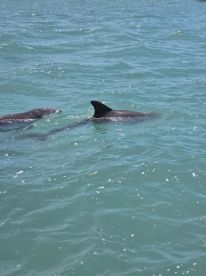 Kevin and the trip were perfect!