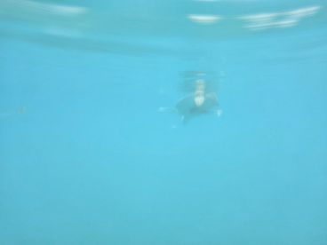 Easy from cruuse port