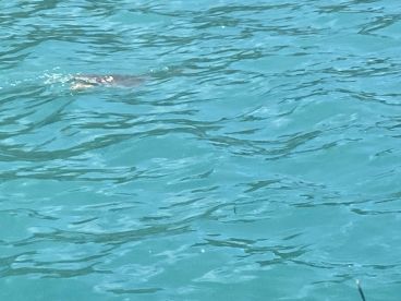 Amazing PR boat trip!