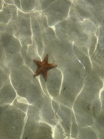 Incredible Day On the Water