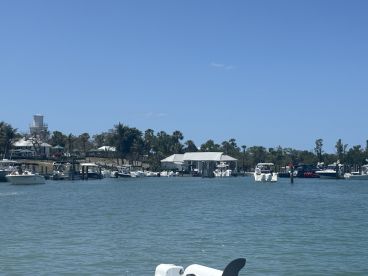 What an Island Adventure!